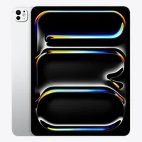 iPad Pro 13