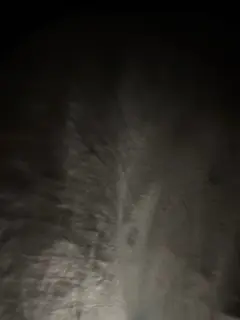 Фото к отзыву