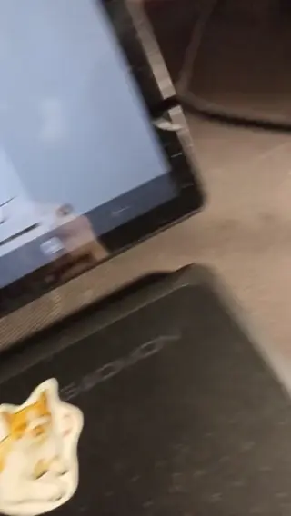 Видео к отзыву
