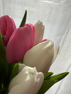 Фото к отзыву