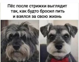 Фото к отзыву